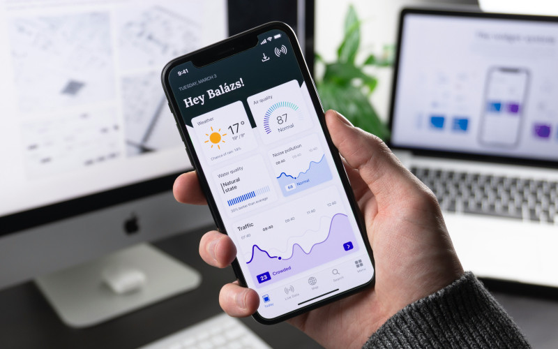 Web & Mobile Applications